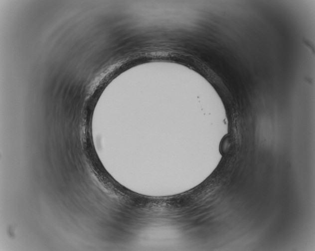 X0000103480728200810241037
