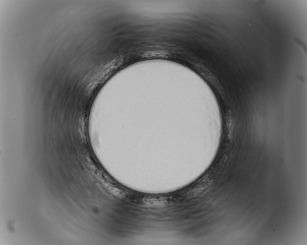 X0000103480729200810241037