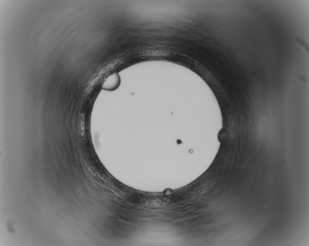 X0000103480731200810241037
