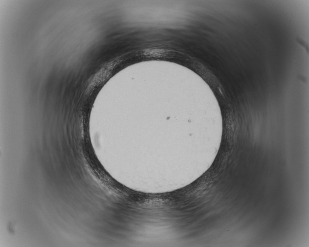 X0000103480734200810241037