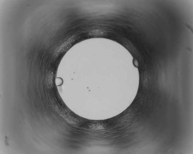 X0000103480735200810241037