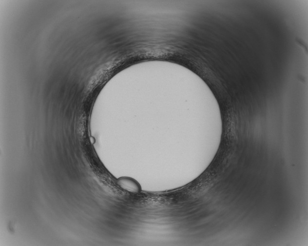 X0000103480736200810241037