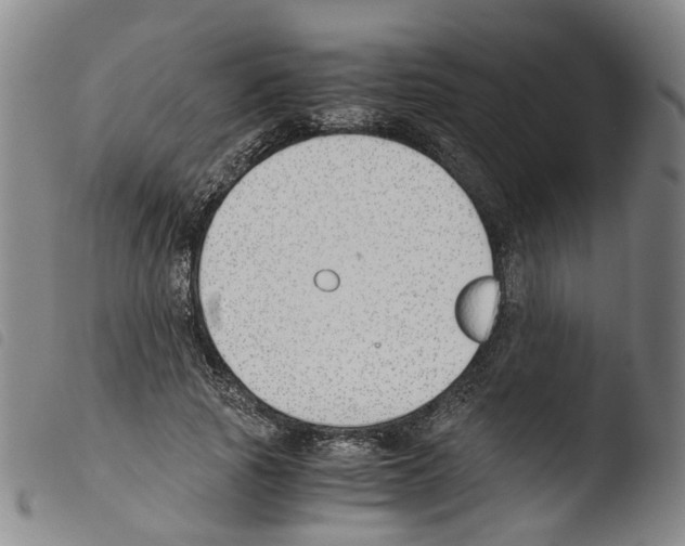 X0000103480737200810241037