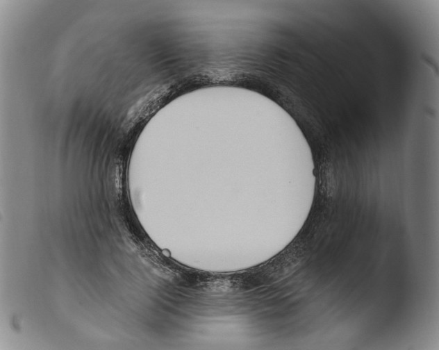 X0000103480740200810241037
