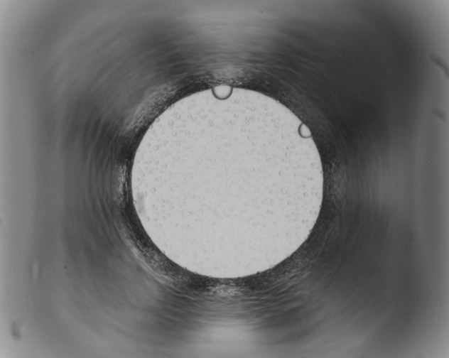 X0000103480742200810241037