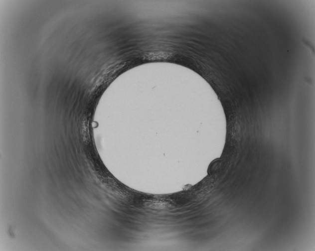 X0000103480743200810241037