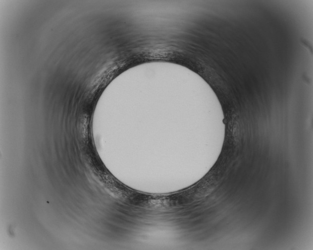 X0000103480744200810241037