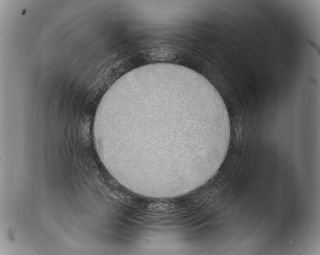X0000103480745200810241037