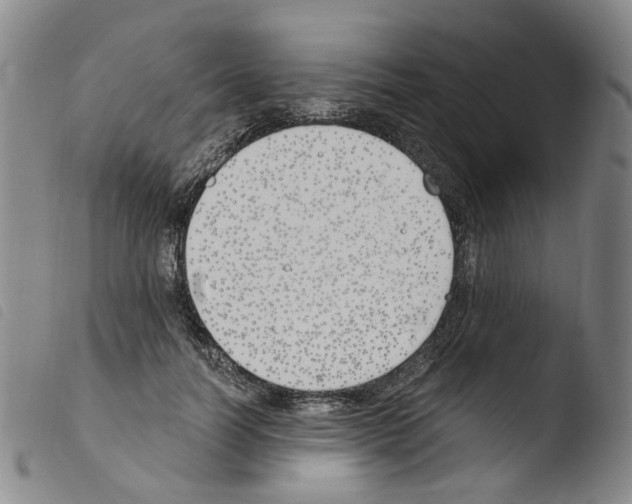 X0000103480746200810241037