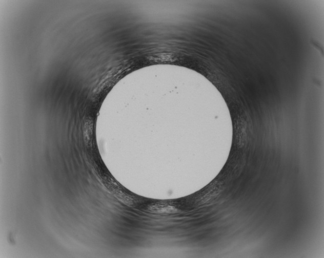 X0000103480747200810241037