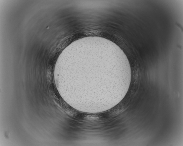 X0000103480749200810241037
