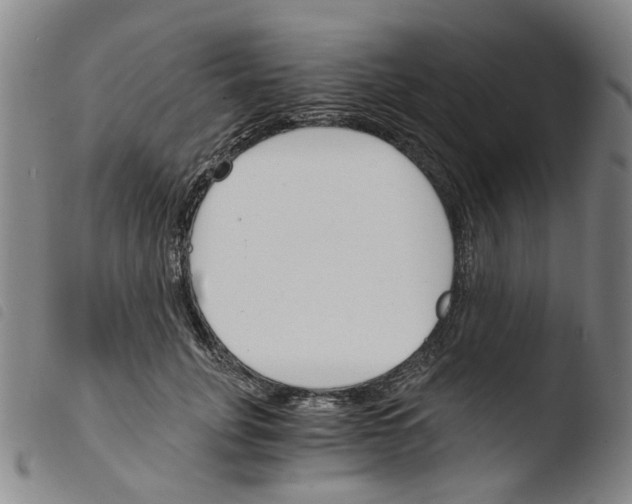 X0000103480751200810241037