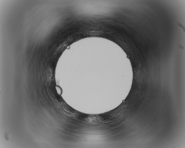 X0000103480752200810241037