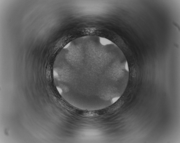 X0000103480754200810241037