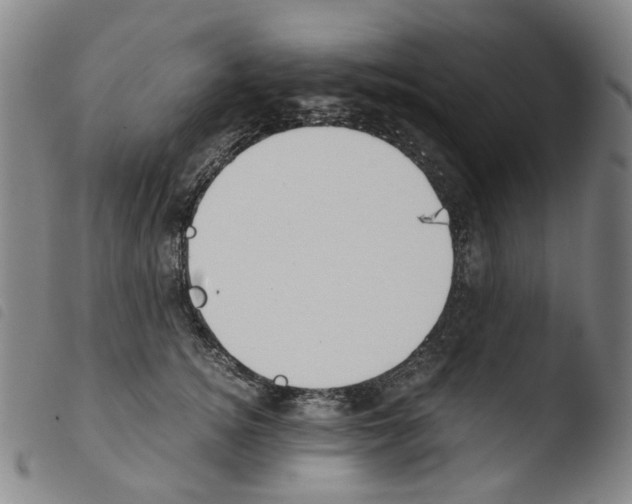 X0000103480756200810241038
