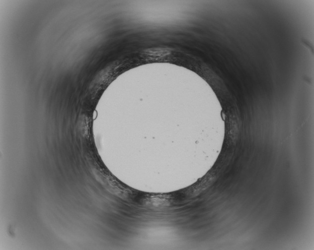 X0000103480758200810241038