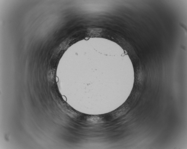 X0000103480759200810241038