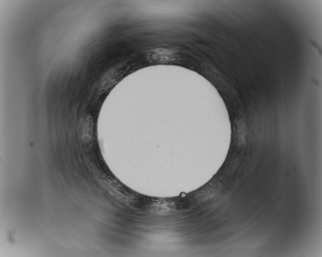X0000103480760200810241038