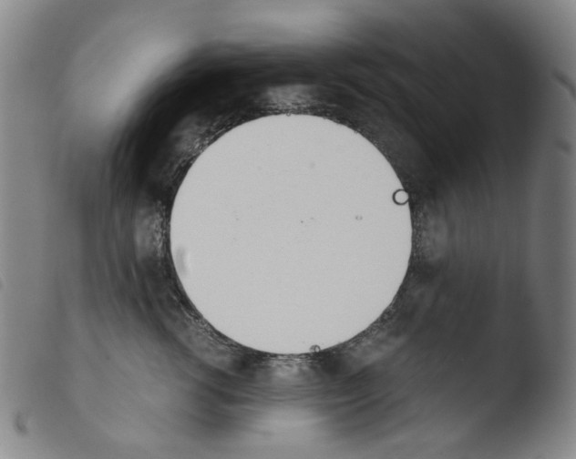 X0000103480762200810241038