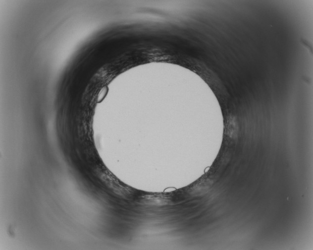 X0000103480763200810241038