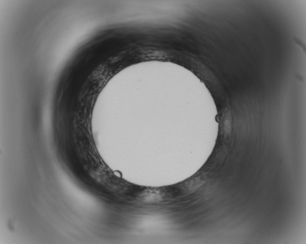 X0000103480764200810241038