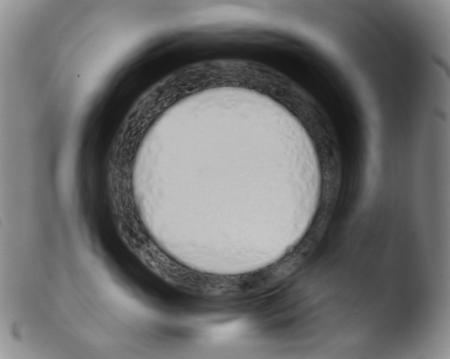 X0000103480765200810241038