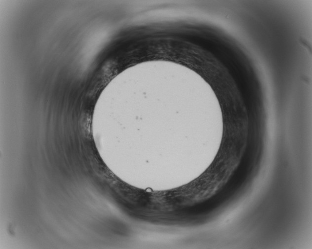 X0000103480766200810241038