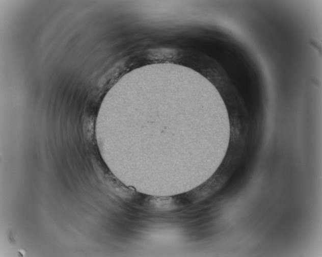 X0000103480767200810241038