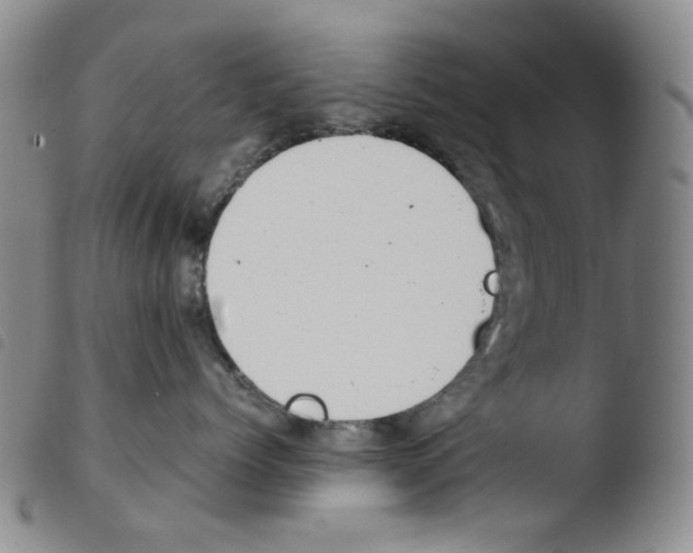 X0000103480768200810241038