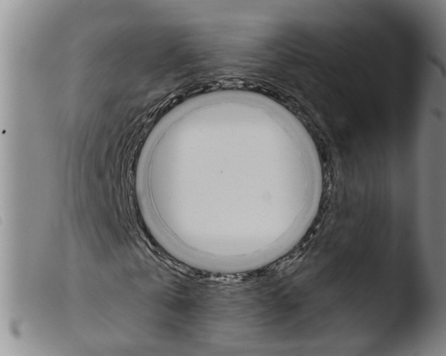 X0000103480769200810241037