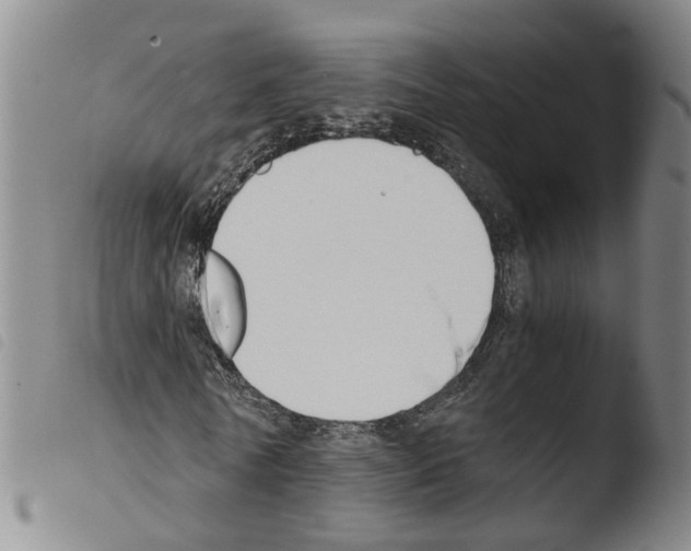X0000103480770200810241037