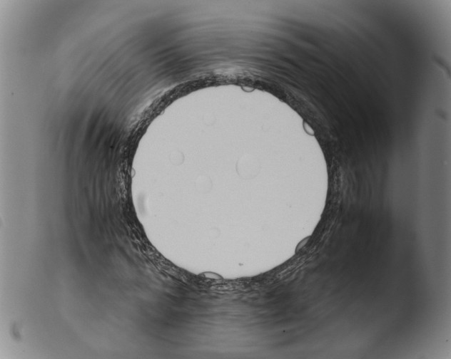X0000103480776200810241037