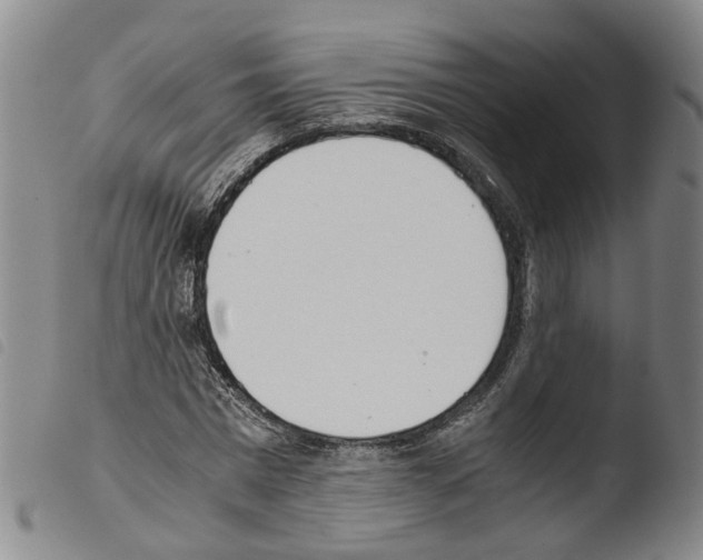 X0000103480777200810241037
