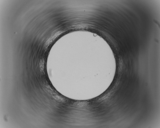 X0000103480778200810241037