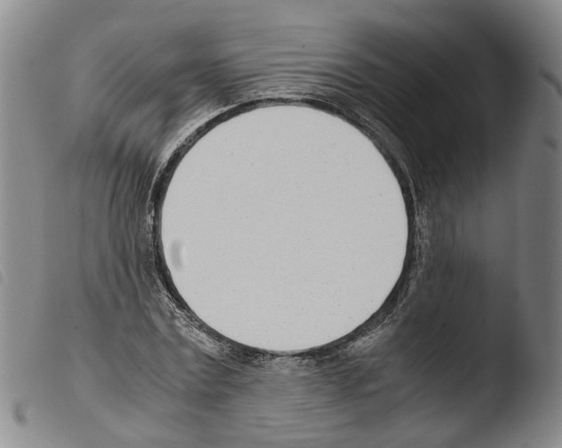 X0000103480779200810241037