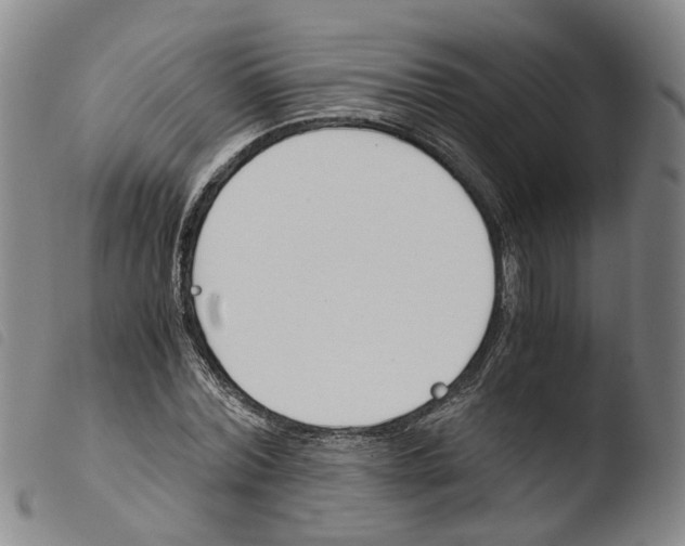 X0000103480780200810241037