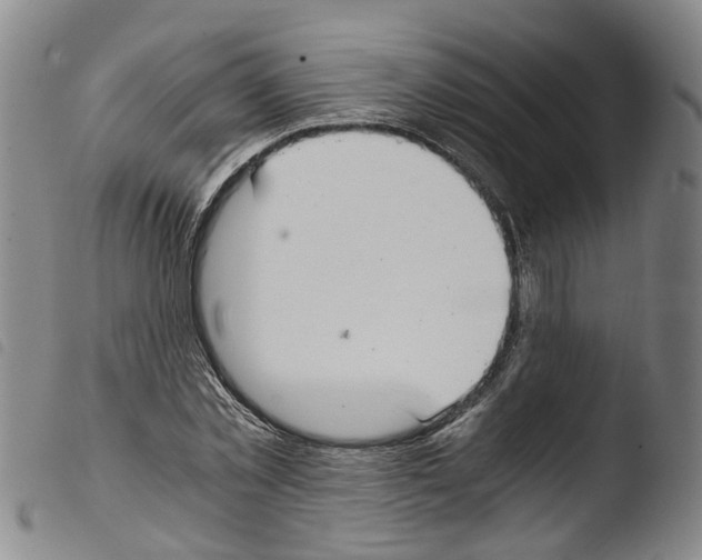 X0000103480781200810241037