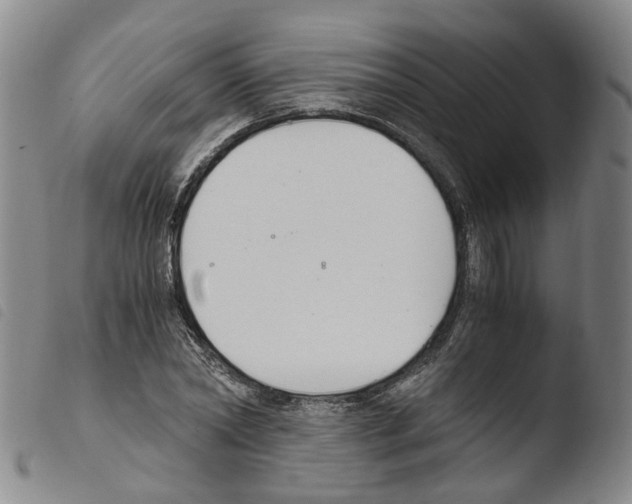 X0000103480782200810241037