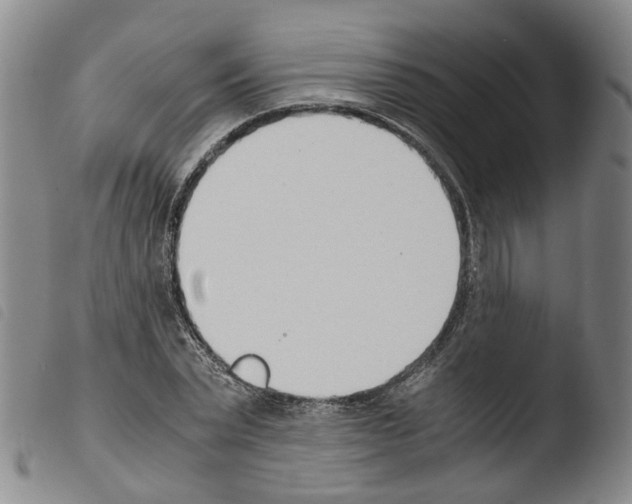 X0000103480783200810241037