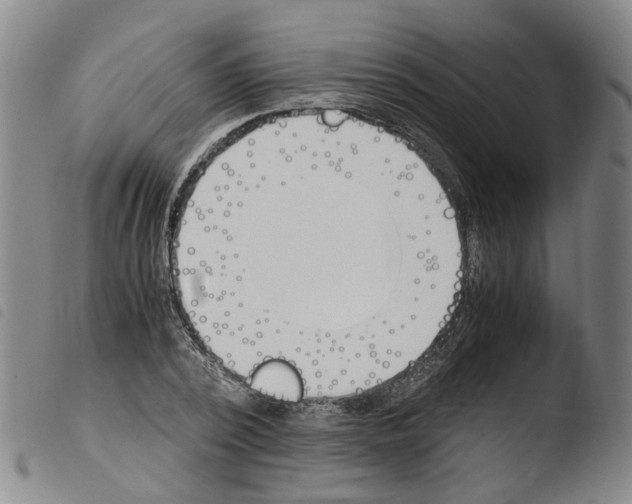 X0000103480784200810241037