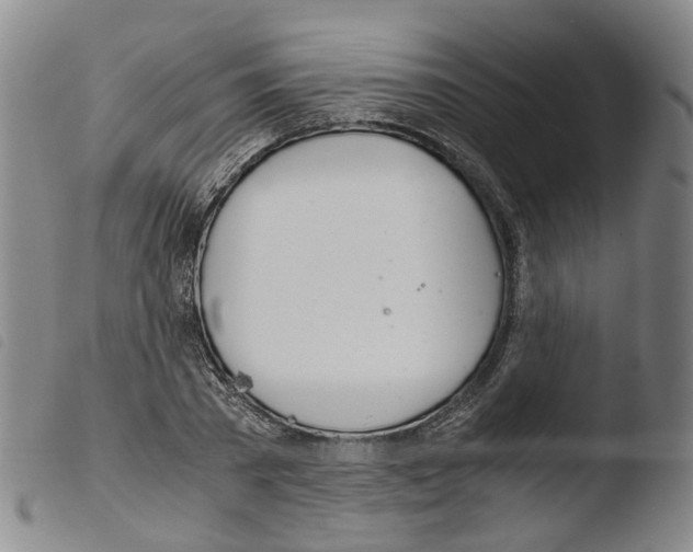 X0000103480785200810241037