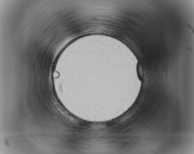 X0000103480788200810241037