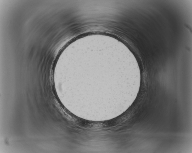 X0000103480791200810241037