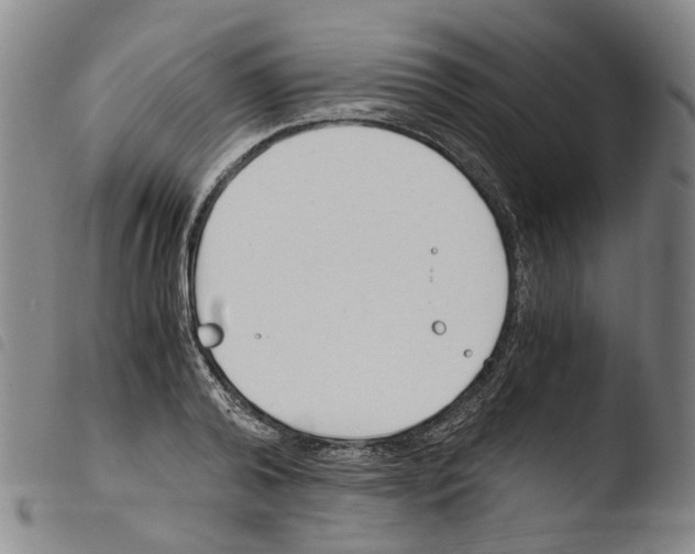 X0000103480792200810241037