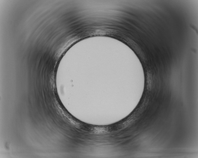 X0000103480794200810241037
