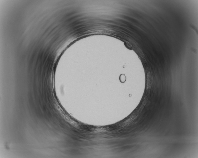 X0000103480796200810241036