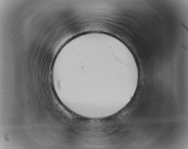 X0000103480799200810241036
