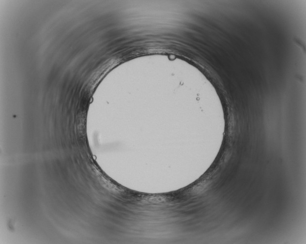 X0000103480801200810241036