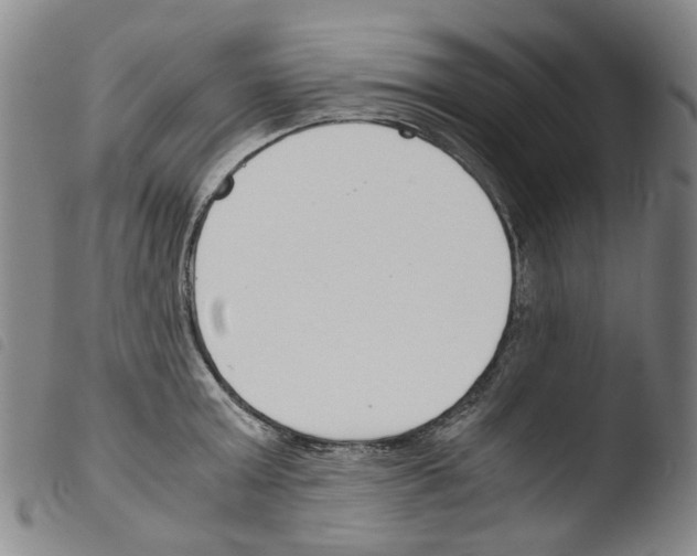 X0000103480803200810241036