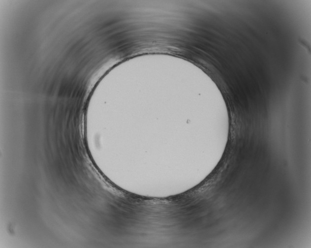 X0000103480804200810241036